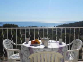 AGAY, Cap Esterel, magnifique vue mer panoramique et massif de l'Esterel, terrasse sud, accès 5 piscines, parking, dernier étage, classé 3 étoiles, site naturel de rêve